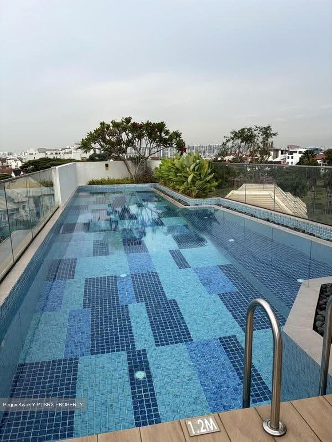 Parkwood Residences (D19), Apartment #613060701